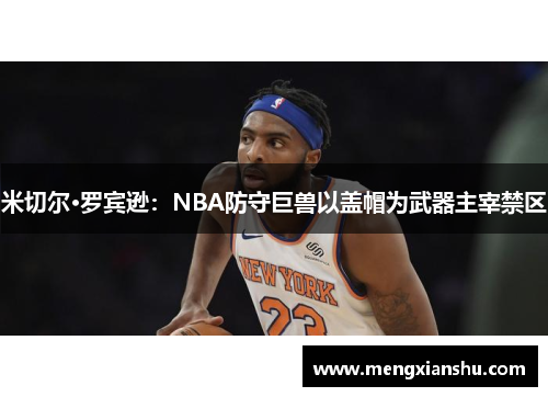 米切尔·罗宾逊：NBA防守巨兽以盖帽为武器主宰禁区