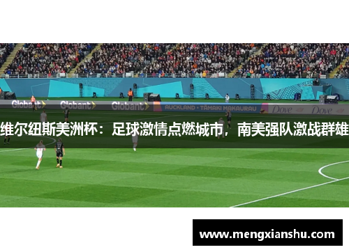 维尔纽斯美洲杯：足球激情点燃城市，南美强队激战群雄